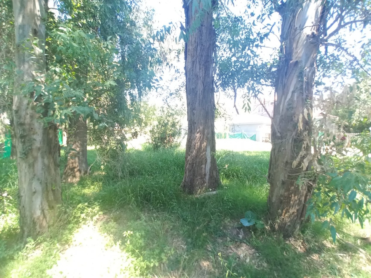 VENTA LOTE DEL VISO BARRIO CERRADO 