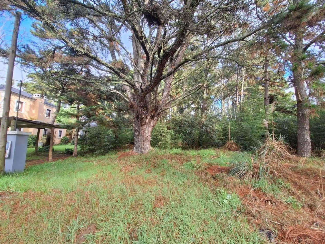 VENTA LOTE TERRENO COSTA DEL ESTE