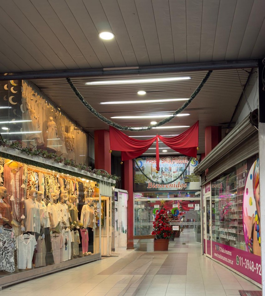 ALQUILER LOCAL SAN MIGUEL CENTRO 