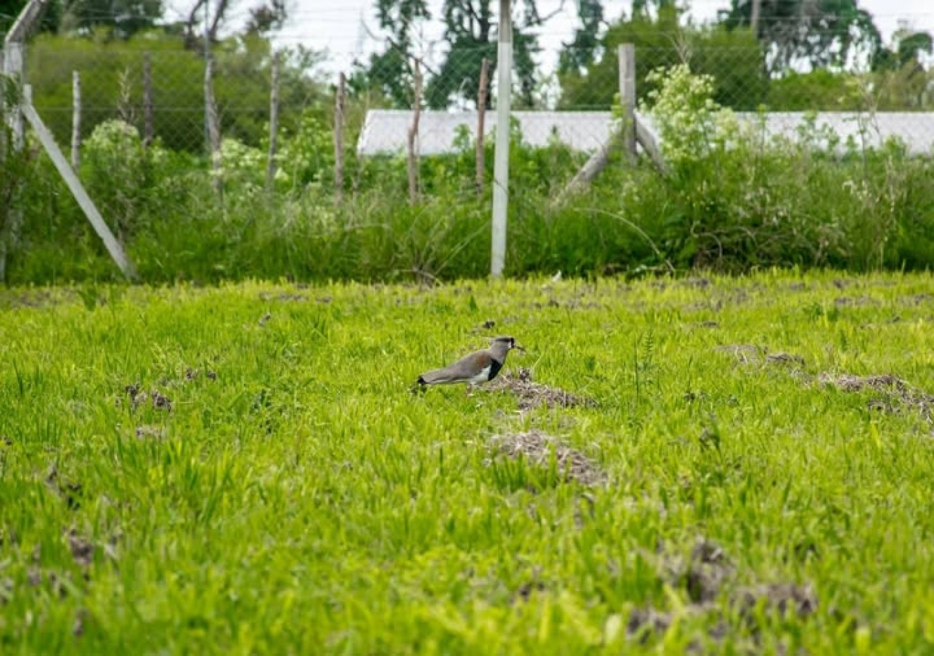 VENTA LOTE TORTUGUITAS ANTICIPO CUOTAS FINANCIAMIENTO JOSE C PAZ